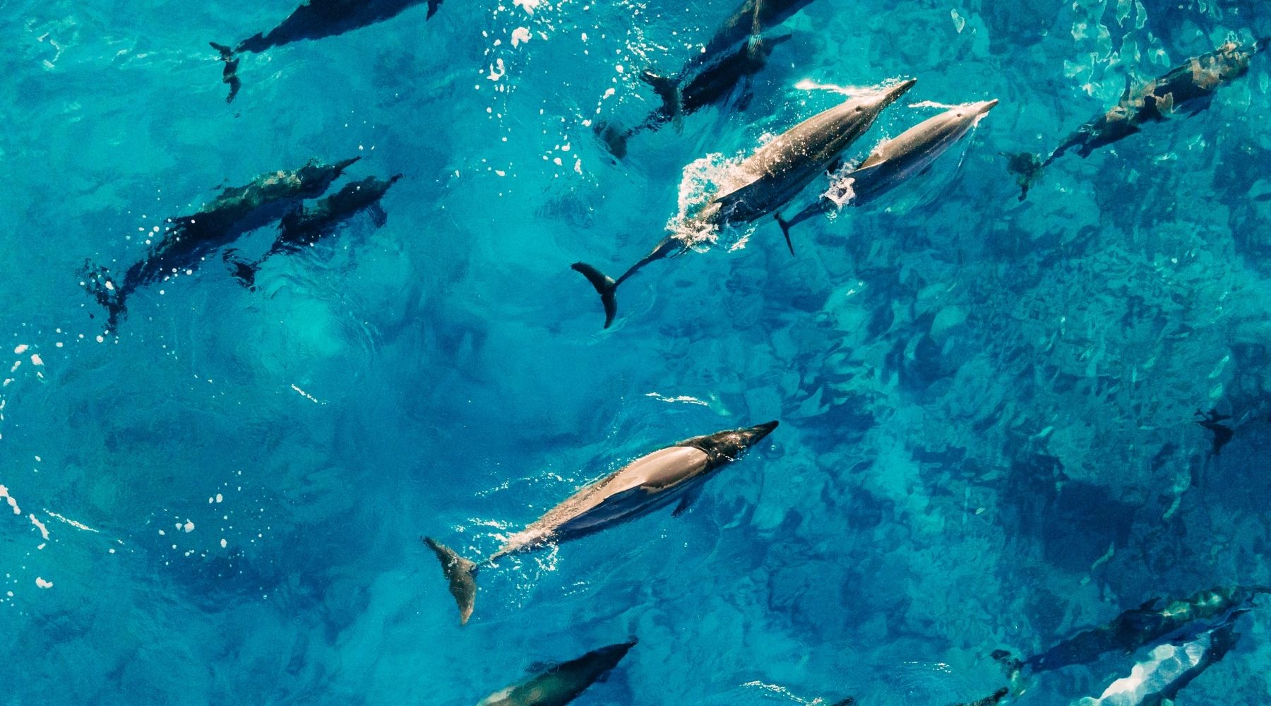 Drowsy Sleep Blog Posts