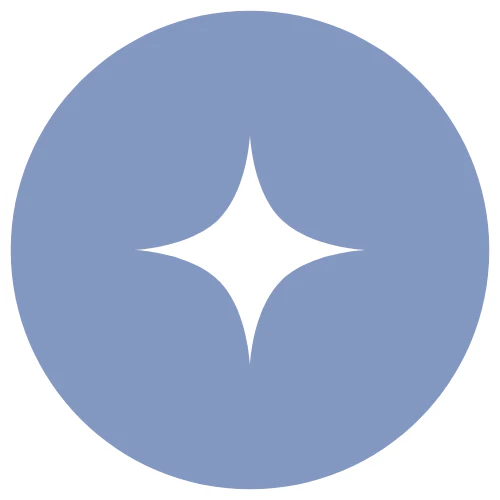 A white four-pointed star shape centered on a circular, light blue background.